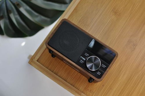 袖珍藍(lán)牙音箱爛大街 收音機傳奇老廠精品恨不得拿下所有設(shè)計獎